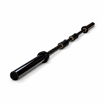 Twisted Adjustable Barbell